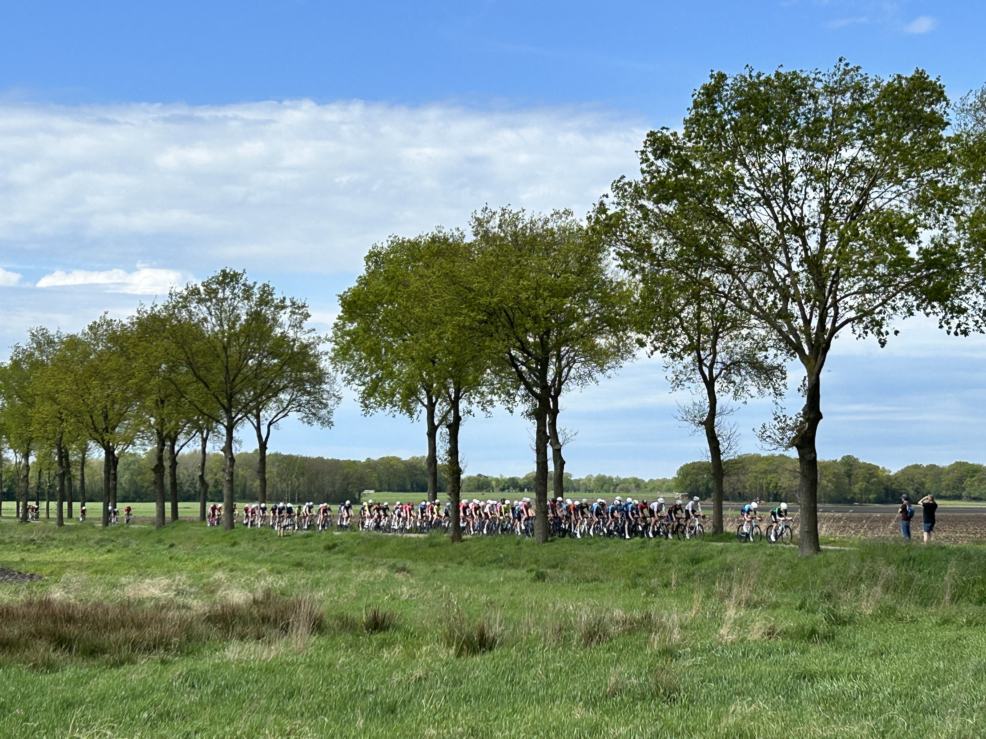 Koers in Drenthe